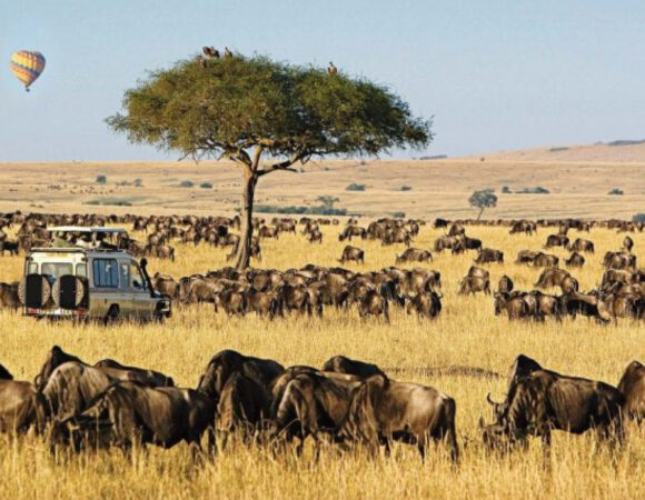 5Days/4 Nights Maasai Mara Lake