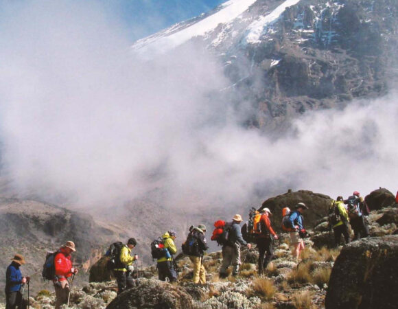 8 Days / 7 Nights Lemosho Route