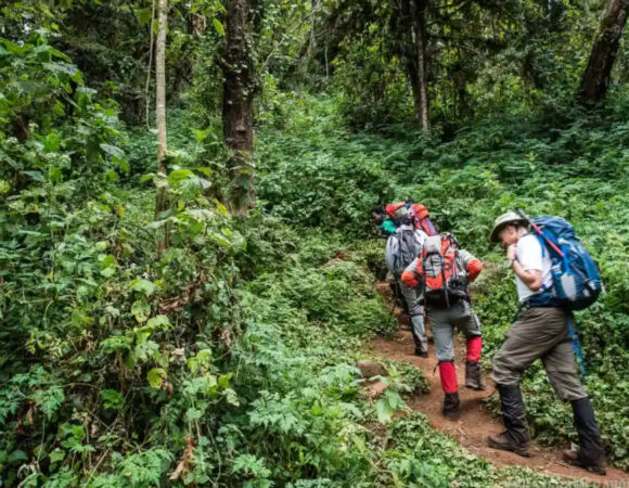 9 Days Lemosho Glades Route